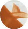 Nu Coral