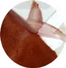 Red Gum