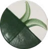 Forest 4 Trees