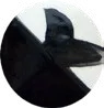 Tutto Nero