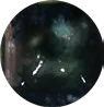 Emeralorium