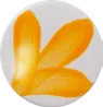 Ochre