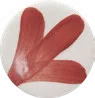 Brick Red