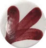 Crimson