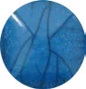 Proteus