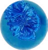 Rigel