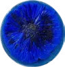 Fang