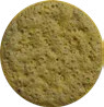 Pacaya
